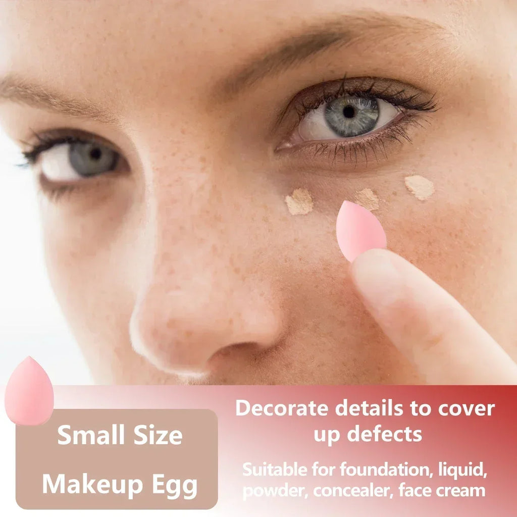 13/33 Pieces Professional Makeup Brush Set With Accessories